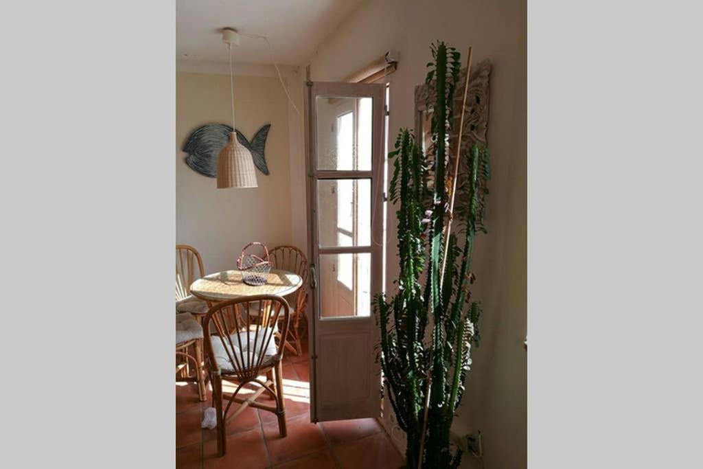Apartamento Con Espectaculares Vistas! タリファ エクステリア 写真